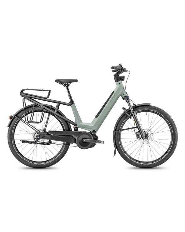 Mardi 27.4 FS porte-bagages suspendu vert argile