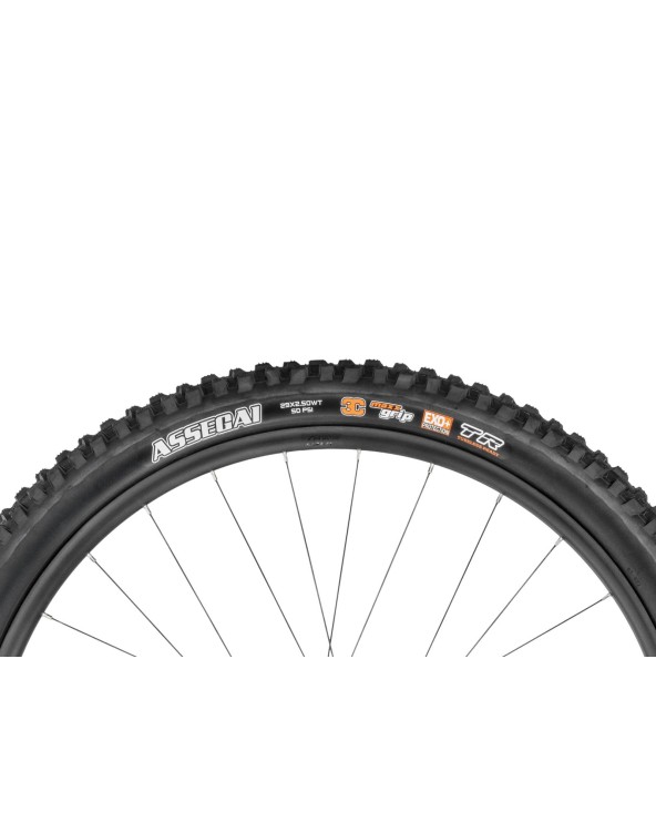 Maxxis moustache Game 160.9 rose